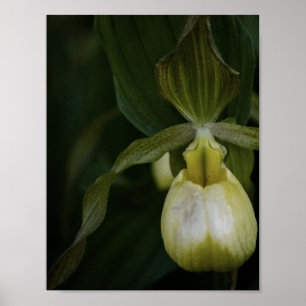 Gelber Slipper 2 Print Poster