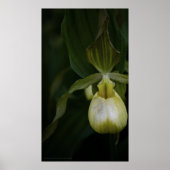 Gelber Slipper 2 Print Poster (Vorne)