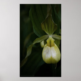 Gelber Slipper 2 Print Poster