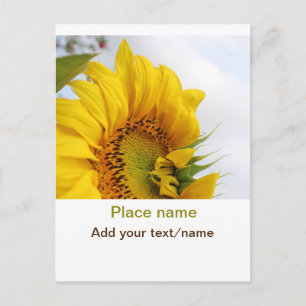 Gelber Sonnenblumengarten Foto Text Name Reise Postkarte