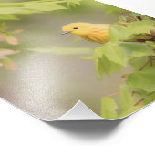 Gelber Sonnenschein - Gelber Warbler-Vogel Fotodruck (Ecke)