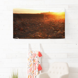 Gelber Sonnenuntergang Kürbisfeld Banner