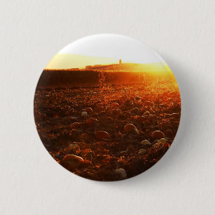 Gelber Sonnenuntergang-Kürbisfeld Button