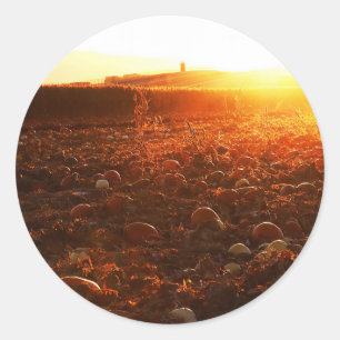 Gelber Sonnenuntergang Kürbisfeld Runder Aufkleber