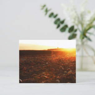 Gelber Sonnenuntergang Postkarte