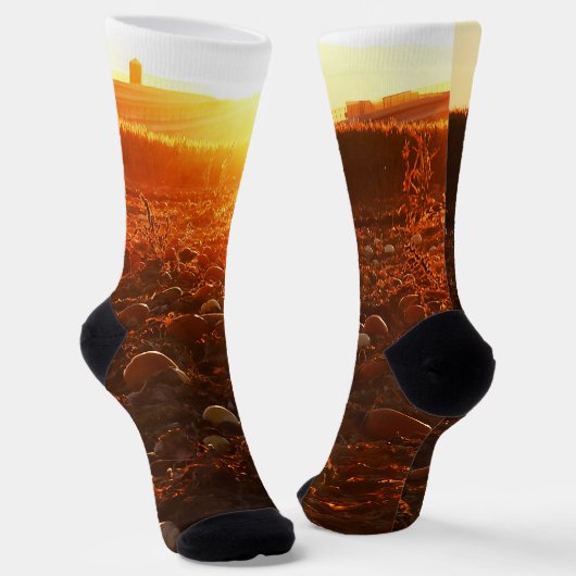 Gelber Sonnenuntergang Socken (Gewinkelt)