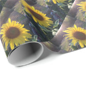 Gelber SUNFLOWER bei Sunset ECHO DRUCKER Geschenkpapier (Rolleneckpunkt)