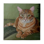 Gelber Tabby Fliese (Vorderseite)