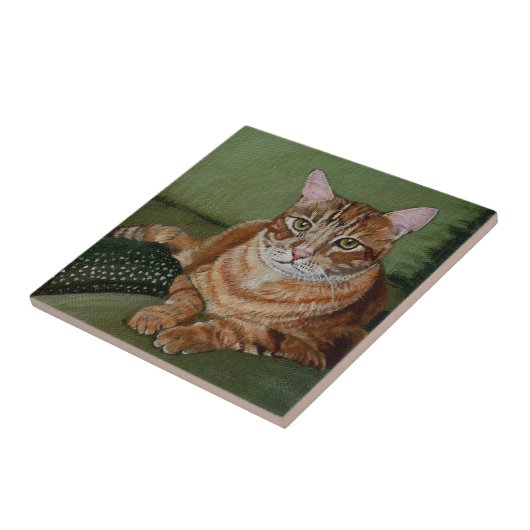 Gelber Tabby Fliese (Seite)
