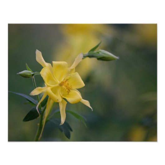 Gelber Tag Fotodruck (Vorne)