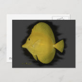 Gelber Tang - Einsamkeit Postkarte (Vorne/Hinten)