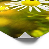 Gelber Traum der Natur Poster (Ecke)