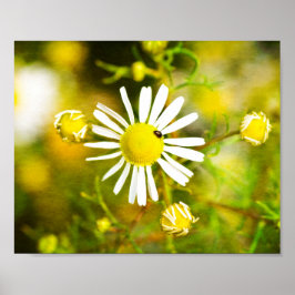 Gelber Traum der Natur Poster