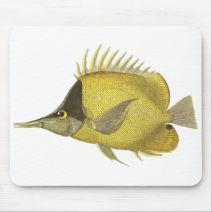 Gelber Tropischer Chelmon Longirostris, Vintage Fi Mousepad