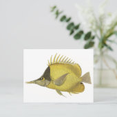 Gelber tropischer Chelmon Longirostris, Vintager F Postkarte (Stehend Vorderseite)