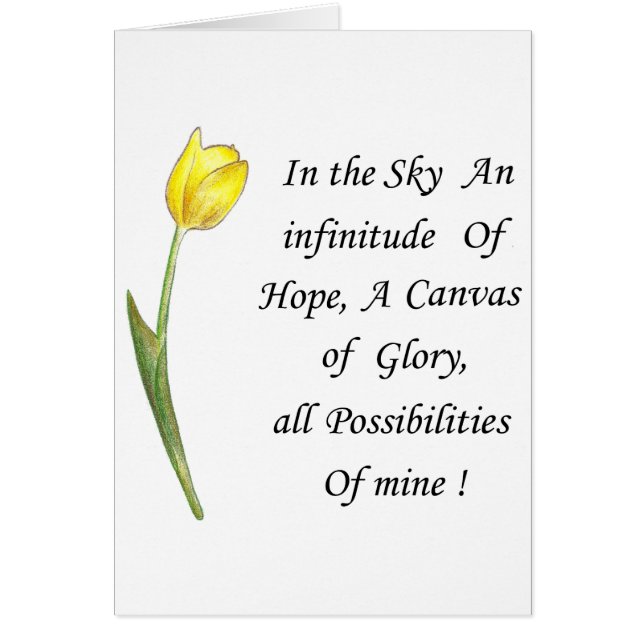 Gelber Tulip (Vorne)