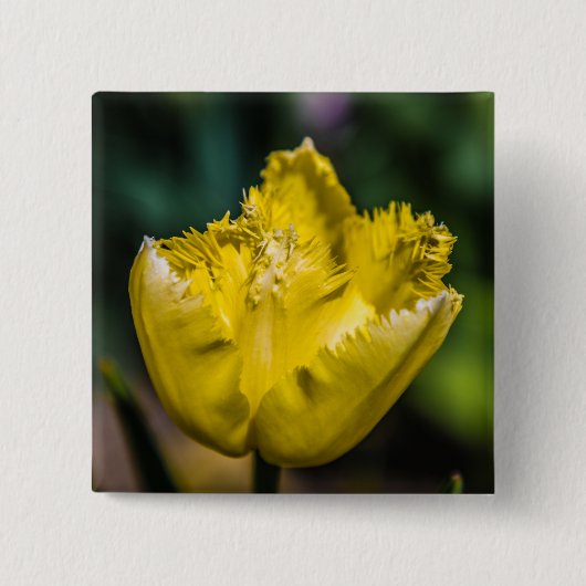 Gelber Tulip Button (Vorderseite)
