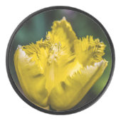 Gelber Tulip Eishockey Puck (Vorderseite)
