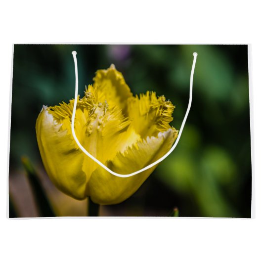 Gelber Tulip Große Geschenktüte (Vorderseite)