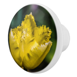 Gelber Tulip Keramikknauf