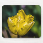 Gelber Tulip Mousepad (Vorne)