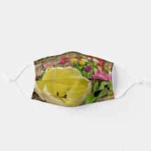 Gelber Tulip