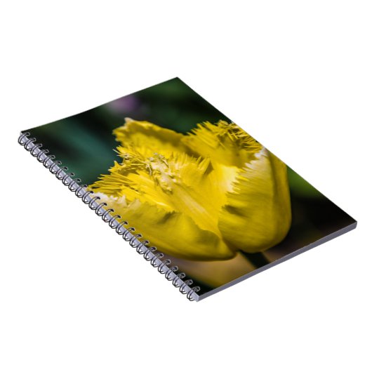 Gelber Tulip Notizblock (Rechte Seite)