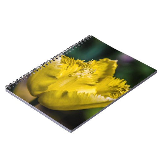 Gelber Tulip Notizblock (Linke Seite)