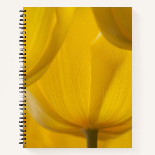 Gelber Tulip Notizblock (Vorderseite)