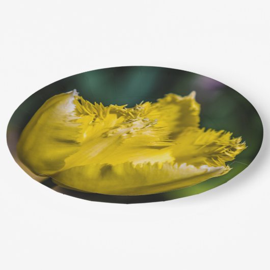 Gelber Tulip Pappteller (Schrägansicht)