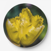 Gelber Tulip Pappteller (Vorderseite)