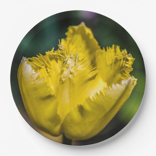 Gelber Tulip Pappteller (Vorderseite)