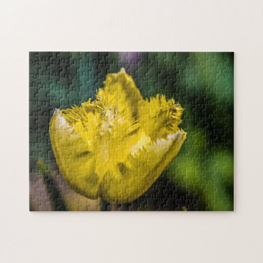 Gelber Tulip Puzzle (Horizontal)