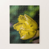 Gelber Tulip Puzzle (Vertikal)