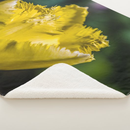 Gelber Tulip Sherpadecke (3/4)