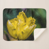 Gelber Tulip Sherpadecke (Vorderseite (Horizontal))