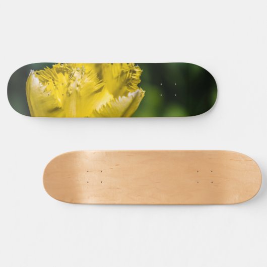 Gelber Tulip Skateboard (Horizontal)