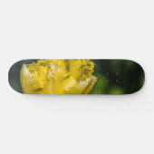 Gelber Tulip Skateboard (Horizontal)