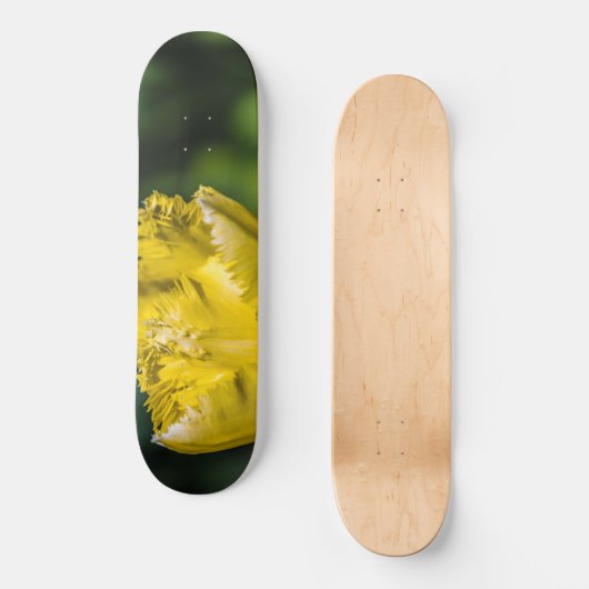 Gelber Tulip Skateboard (Vorderseite)