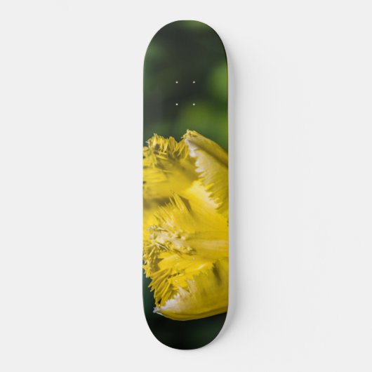 Gelber Tulip Skateboard (Vorderseite)