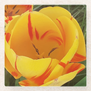 Gelber Tulip-Untersetzer Glasuntersetzer