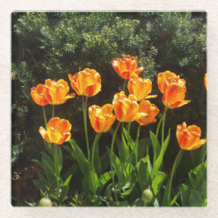 Gelber Tulip-Untersetzer Glasuntersetzer