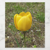 Gelber Tulip Weinetikett (Einzelnes Label)