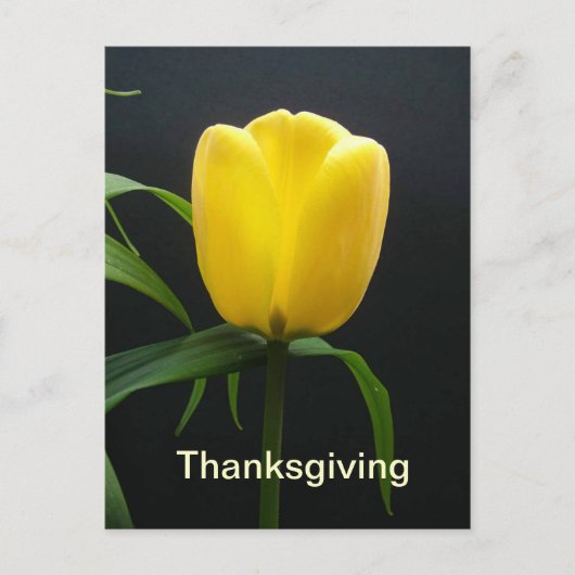 Gelber Tulpe Erntedank Postkarte (Vorderseite)