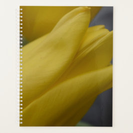 Gelber Tulpen-Blumenplaner – Blumenfotografie Planer