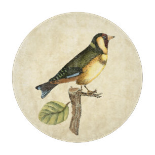 Gelber und grüner Vogel gehockt auf einer kleinen Schneidebrett