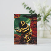 Gelber und Schwarzer Frosch Postkarte (Stehend Vorderseite)