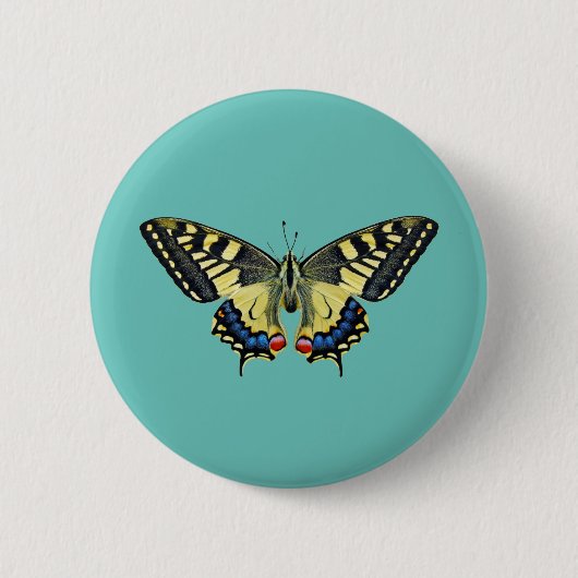 Gelber und schwarzer Schmetterling Button (Vorderseite)