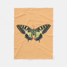 Gelber und schwarzer Schmetterling