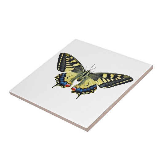 Gelber und schwarzer Schmetterling Fliese (Seite)